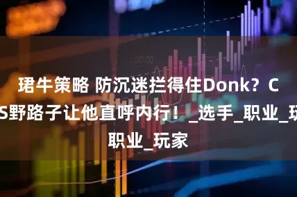 珺牛策略 防沉迷拦得住Donk？CNCS野路子让他直呼内行！_选手_职业_玩家