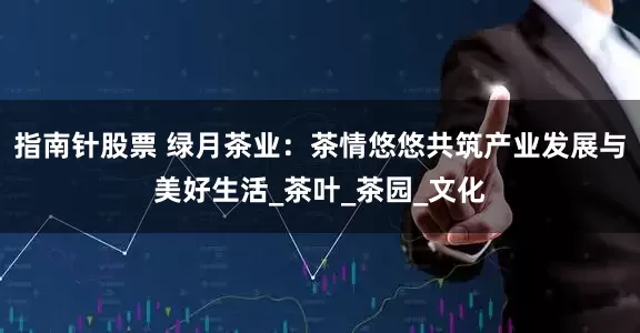 指南针股票 绿月茶业：茶情悠悠共筑产业发展与美好生活_茶叶_茶园_文化