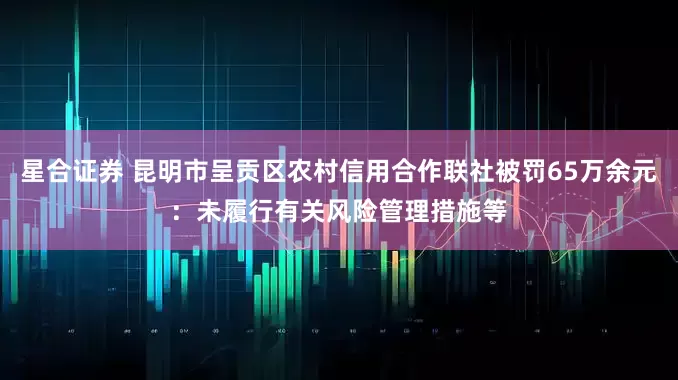 星合证券 昆明市呈贡区农村信用合作联社被罚65万余元：未履行有关风险管理措施等